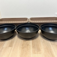 プラスチックプランターと黒の植木鉢
