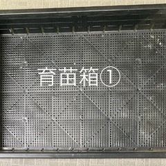 育苗箱1