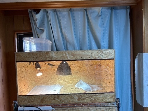 爬虫類ケージ横83、奥行き45、高さ45