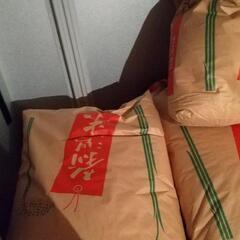 [値下げ2] 令和5年産 新潟県産コシヒカリ 玄米30kg 特別...