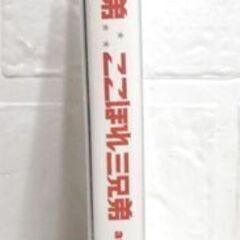Blu-ray Disc 地球三兄弟 ここほれ三兄弟 at Zepp DiverCity Tokyo ブルーレイディスク KSXL 34 札幌市 白石区 東札幌の画像