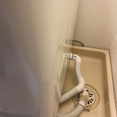 2019年製/自動電気洗濯機/5.0kg/ヤマダ電機の画像