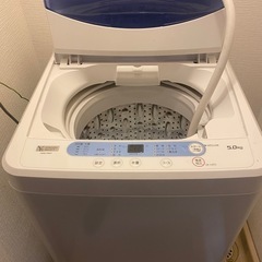2019年製/自動電気洗濯機/5.0kg/ヤマダ電機の画像