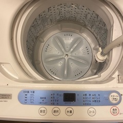 2019年製/自動電気洗濯機/5.0kg/ヤマダ電機の画像