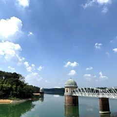【ゆるハイキング】【初心者向け】11月24日（日）埼玉多摩湖（村山湖）トトロの森に囲まれた湖の周りを一周！ - 東村山市