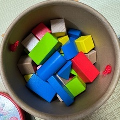 Hape積み木 50ピースの画像