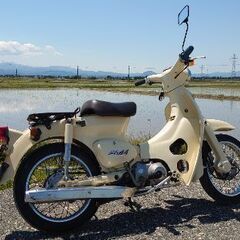 リトルカブ