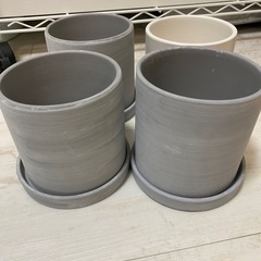 鉢4つセット