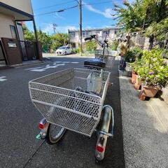 ブリジストン電動アシスト三輪車の画像