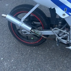 ns1実働キック1発の画像