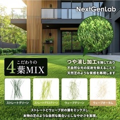 人工芝 1x1m 芝丈30mmの画像
