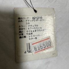 大型犬用の首輪40kgまで未使用品の画像