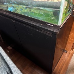 熱帯魚＋2215セット＋水槽台の画像