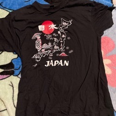 服　　Tシャツの画像