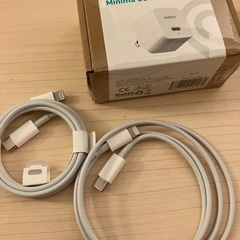 au iPhone charger 