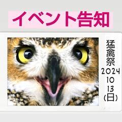 猛禽祭2024 猛禽類と触れ合える✨️の画像