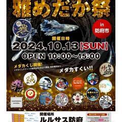 雅めだか祭