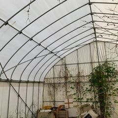 ビニールハウス　パイプハウス一式及び白ビニール　解体及び運搬をお願いします　W×L＝ 約　5.4m×5ｍ　アーチ部材は25φ　（東側）の画像