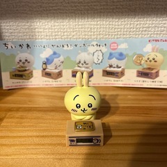 ハチワレと交換してください！