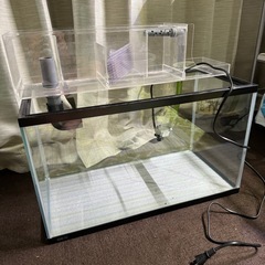 （受け渡し決定）ガラス水槽セット