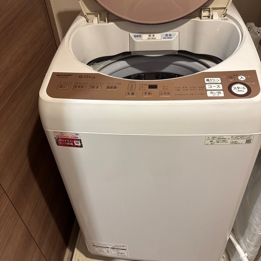 決まりました！