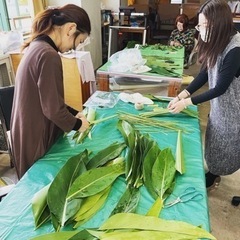 【フラ教室AO本町校　10月より新規クラス開講につき生徒さん募集・体験レッスン会開催中】の画像