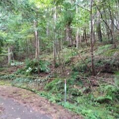 岐阜県中津川市坂下高峰4292番10 252㎡　高峰平別荘地内　...