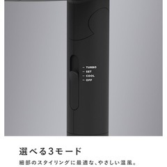 【取引者決定】SALONIA サロニア スピーディーイオン ドライヤー 大風量 の画像