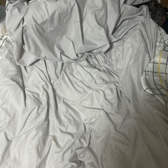 ニトリ　シングルサイズ　掛け布団の画像