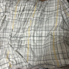 ニトリ　シングルサイズ　掛け布団の画像