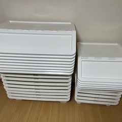 カインズ　キャリコ　ホワイトの画像