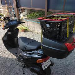 スズキ ヴェクスター150 最終型 自賠責令和9年8月迄の画像