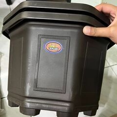 台湾鉢 八角鉢 3寸 10個セットの画像
