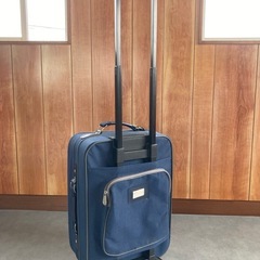 ⭐️決まりました⭐️キャリーバッグ　機内持ち込みOKの画像