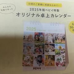 ペピイ  犬猫  卓上カレンダー  2025