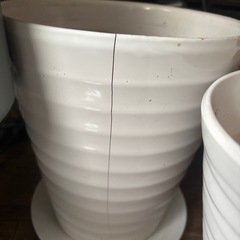 胡蝶蘭用　植木鉢　陶器鉢　化粧鉢の画像