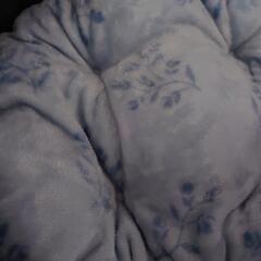 新品タグ付き ペットベッドの画像