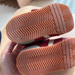 ダブルビー14.0の画像