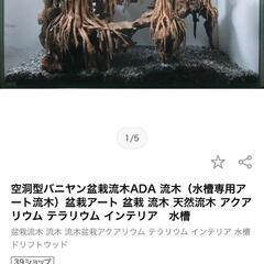超激安！新品未使用！空洞型バニヤン 盆栽天然流木（水槽専用アート...