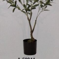 超激安！半額！新品未使用！オリーブ 大 1鉢 造花 フェイクグリーン 観葉植物 植木の画像