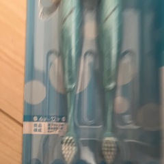 リーチキッズ　ポケモン　ゼニガメ　歯磨きセットの画像