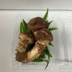 松茸