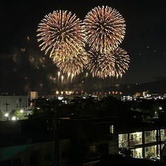 飲み友達募集です！