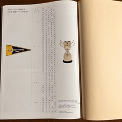 スポーツ雑誌　写真集　西武ライオンズ 優勝記念写真集 1990の画像