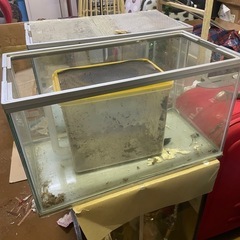 水槽　　50cm