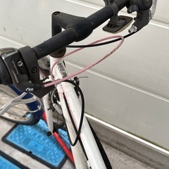 ８日、14日、15日限定　ロードバイクの画像