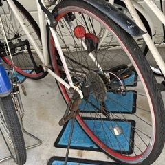 ８日、14日、15日限定　ロードバイクの画像