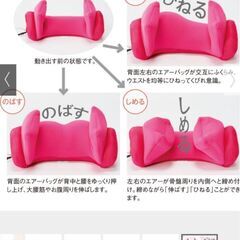 フジテレビ系で販売　骨盤矯正&ダイエットの画像