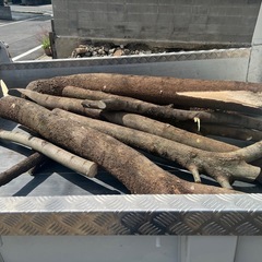 広葉樹薪　原木　暖炉　薪ストーブ用　キャンプ用　尾張旭市まで取り...