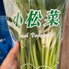 鳥取県　農家直送　小松菜　一日1組限定品　たっぷり！3の画像